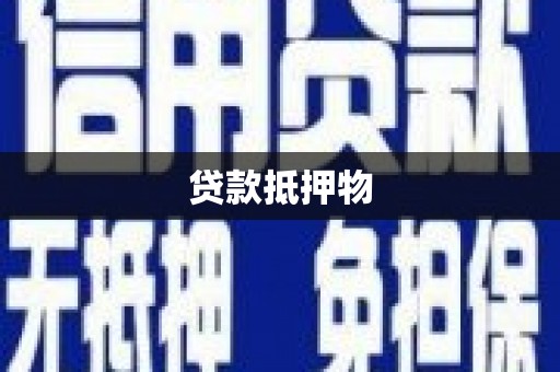 嘉禾贷款抵押物
