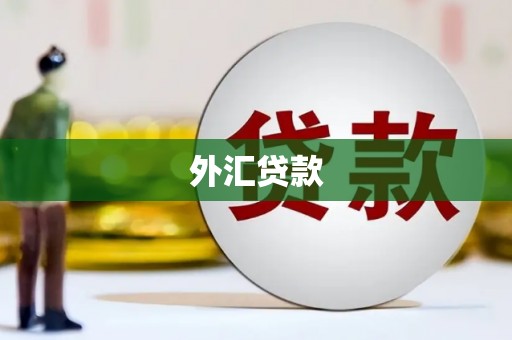 嘉禾外汇贷款