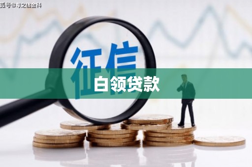 嘉禾白领贷款