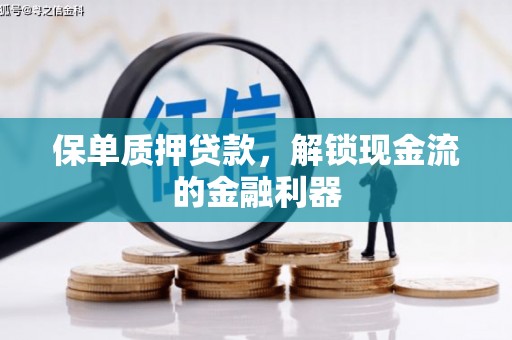 嘉禾保单质押贷款，解锁现金流的金融利器