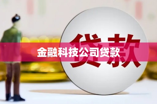 嘉禾金融科技公司贷款