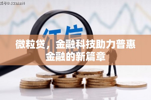 嘉禾微粒贷，金融科技助力普惠金融的新篇章