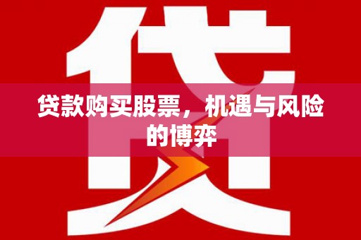 嘉禾贷款购买股票，机遇与风险的博弈