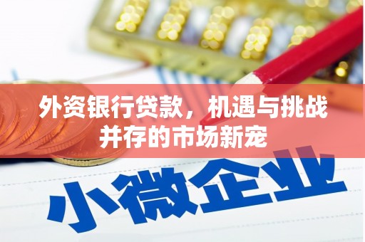 嘉禾外资银行贷款，机遇与挑战并存的市场新宠