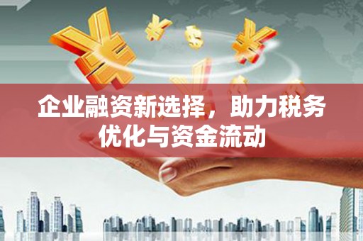 嘉禾企业融资新选择，助力税务优化与资金流动