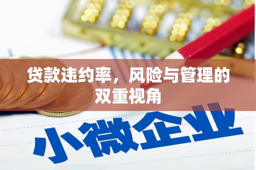 嘉禾贷款违约率，风险与管理的双重视角