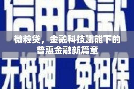 嘉禾微粒贷，金融科技赋能下的普惠金融新篇章