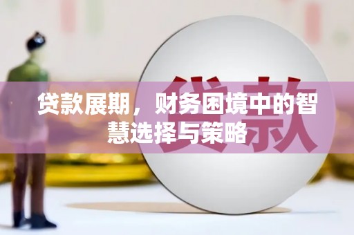 嘉禾贷款展期，财务困境中的智慧选择与策略