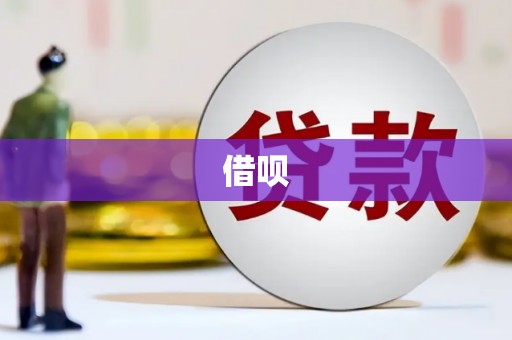 嘉禾借呗