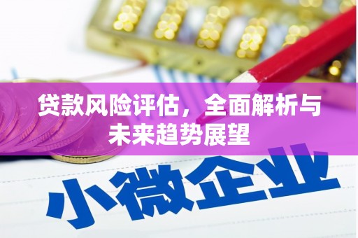 嘉禾贷款风险评估，全面解析与未来趋势展望