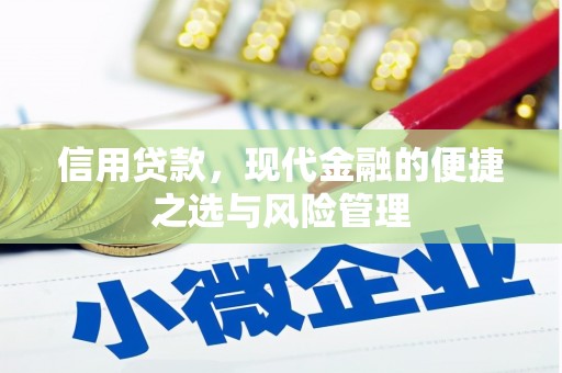 嘉禾信用贷款，现代金融的便捷之选与风险管理