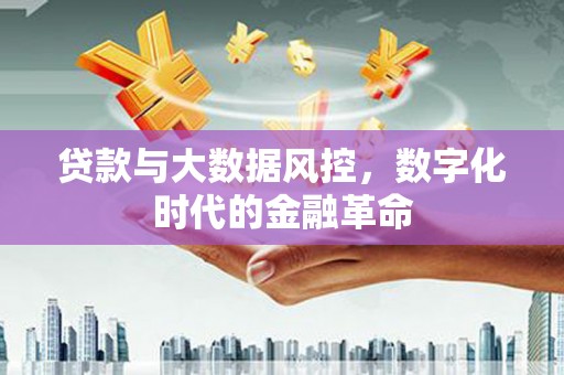 嘉禾贷款与大数据风控，数字化时代的金融革命