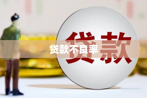 嘉禾贷款不良率