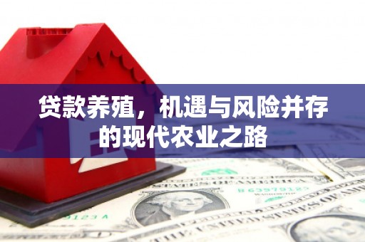 嘉禾贷款养殖，机遇与风险并存的现代农业之路