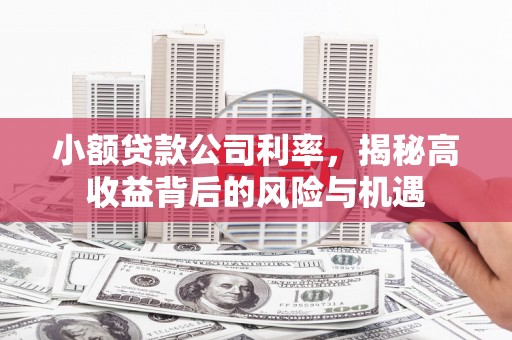 嘉禾小额贷款公司利率，揭秘高收益背后的风险与机遇