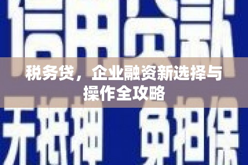 嘉禾税务贷，企业融资新选择与操作全攻略