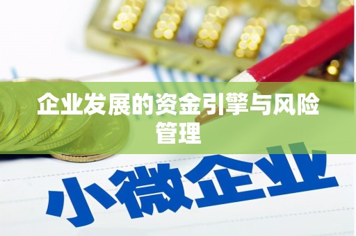 嘉禾企业发展的资金引擎与风险管理