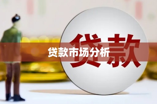嘉禾贷款市场分析
