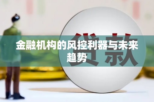 嘉禾金融机构的风控利器与未来趋势