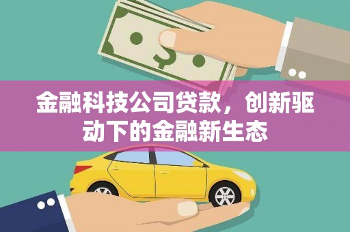 嘉禾金融科技公司贷款，创新驱动下的金融新生态