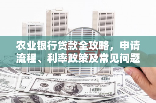 嘉禾农业银行贷款全攻略，申请流程、利率政策及常见问题解析