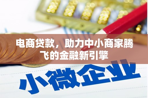 嘉禾电商贷款，助力中小商家腾飞的金融新引擎