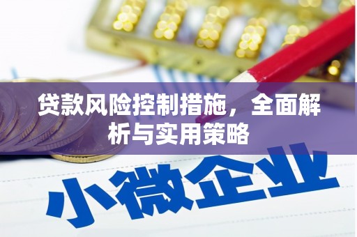 嘉禾贷款风险控制措施，全面解析与实用策略