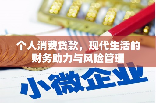 嘉禾个人消费贷款，现代生活的财务助力与风险管理