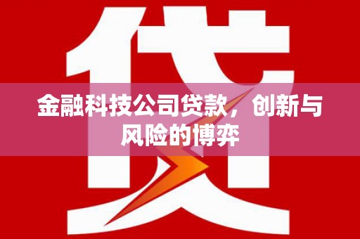 嘉禾金融科技公司贷款，创新与风险的博弈