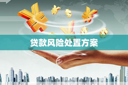 嘉禾贷款风险处置方案