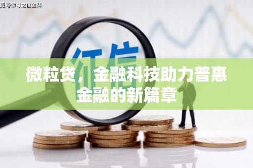 嘉禾微粒贷，金融科技助力普惠金融的新篇章