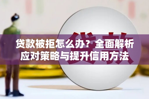 嘉禾贷款被拒怎么办？全面解析应对策略与提升信用方法