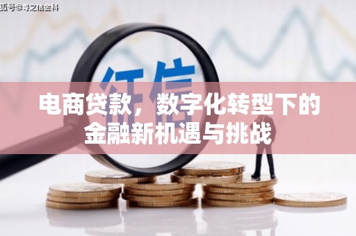 嘉禾电商贷款，数字化转型下的金融新机遇与挑战