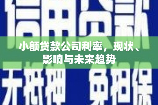 嘉禾小额贷款公司利率，现状、影响与未来趋势