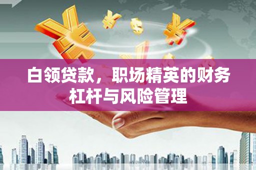 嘉禾白领贷款，职场精英的财务杠杆与风险管理