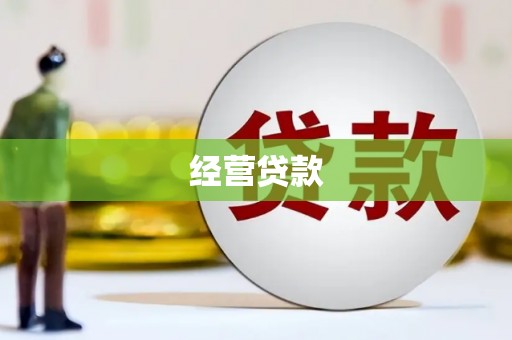 嘉禾经营贷款