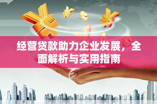 嘉禾经营贷款助力企业发展，全面解析与实用指南