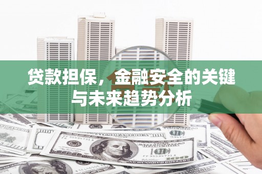 嘉禾贷款担保，金融安全的关键与未来趋势分析