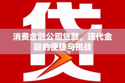 嘉禾消费金融公司贷款，现代金融的便捷与挑战