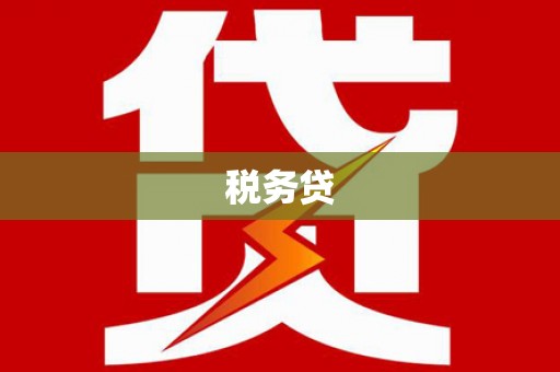 嘉禾税务贷