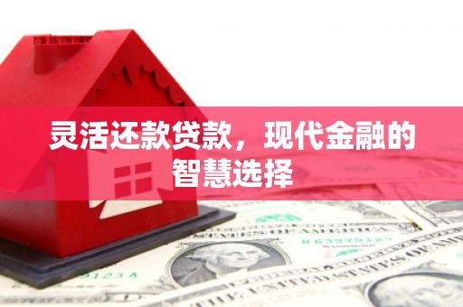嘉禾灵活还款贷款，现代金融的智慧选择