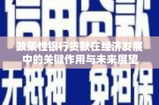 嘉禾政策性银行贷款在经济发展中的关键作用与未来展望