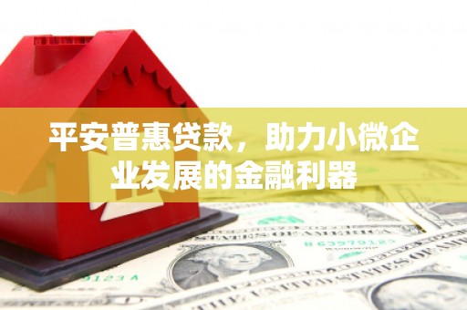 嘉禾平安普惠贷款，助力小微企业发展的金融利器