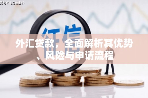 嘉禾外汇贷款，全面解析其优势、风险与申请流程