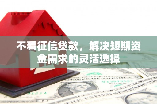 嘉禾不看征信贷款，解决短期资金需求的灵活选择