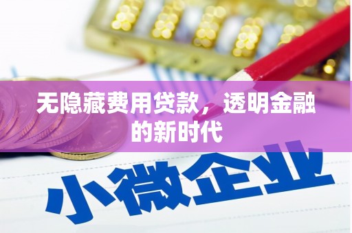 嘉禾无隐藏费用贷款，透明金融的新时代