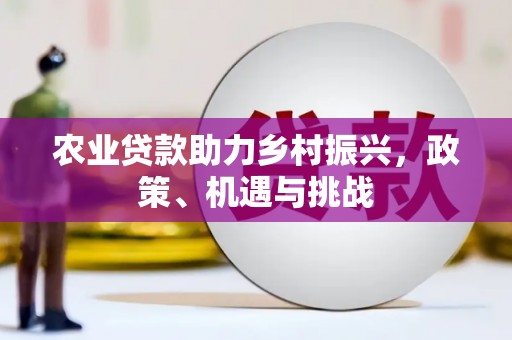 嘉禾农业贷款助力乡村振兴，政策、机遇与挑战