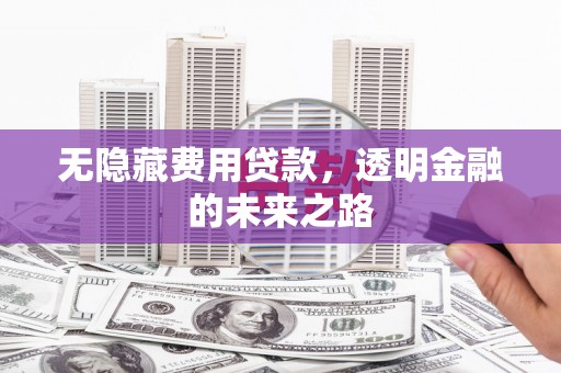 嘉禾无隐藏费用贷款，透明金融的未来之路