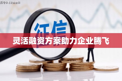 嘉禾灵活融资方案助力企业腾飞