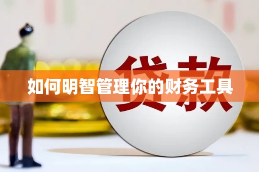 嘉禾如何明智管理你的财务工具